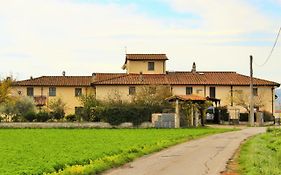 Mina House